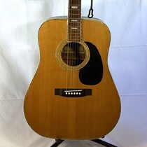 昭和レトロ トムソン D-38 アコギ - サーリアル - 新感覚