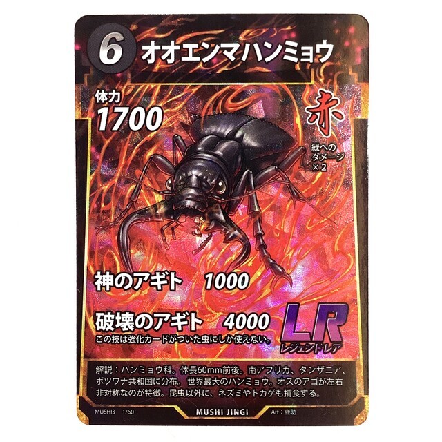 【標本】オオエンマハンミョウ 蟲神器 オオエンマハンミョウ LR - サーリアル - 新感覚オークション